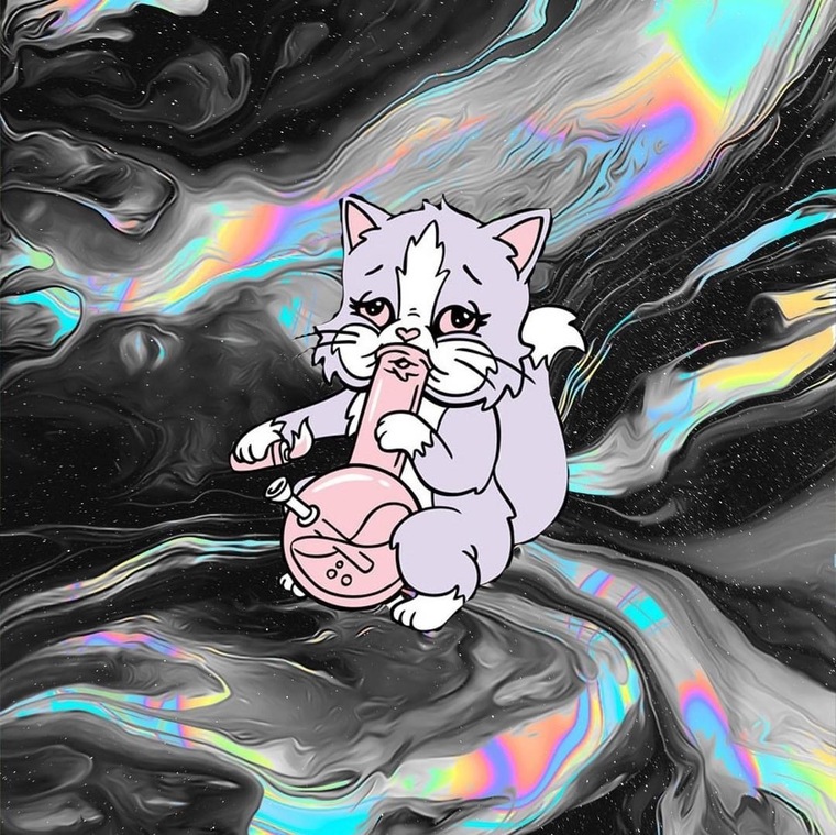 Trans ftm cover image