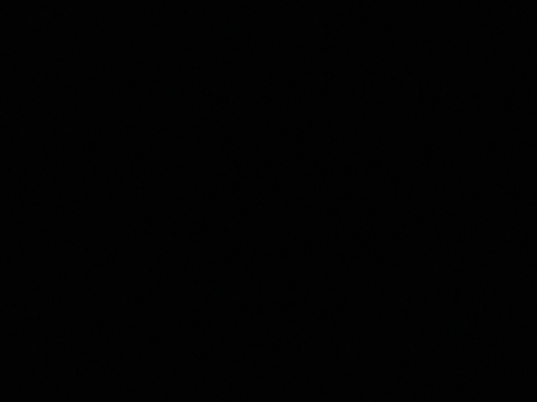 nina banner image