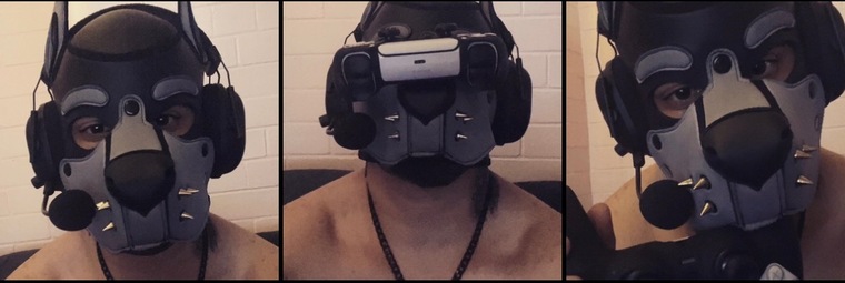 TransPupOnyx cover image