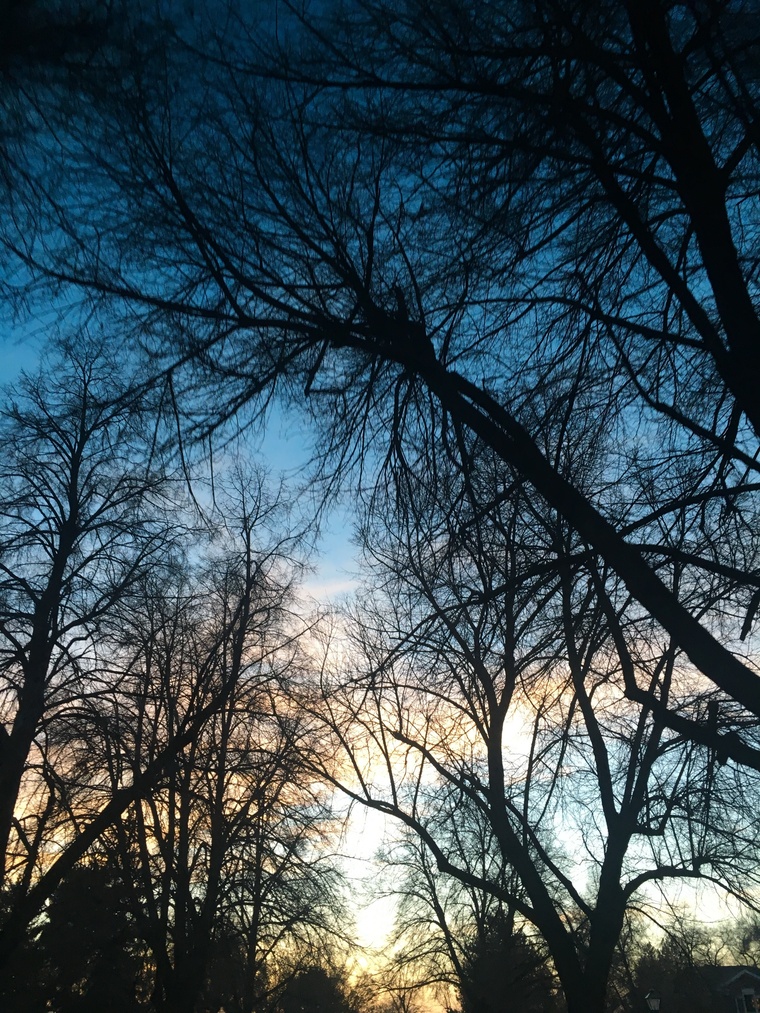OohKAY banner image