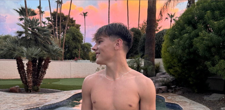 ADW VIP (opashVIP) banner image
