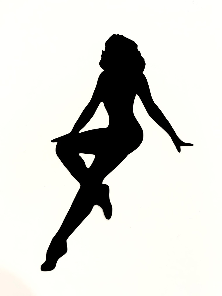 Orchid banner image