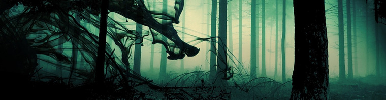 Oren Zane banner image
