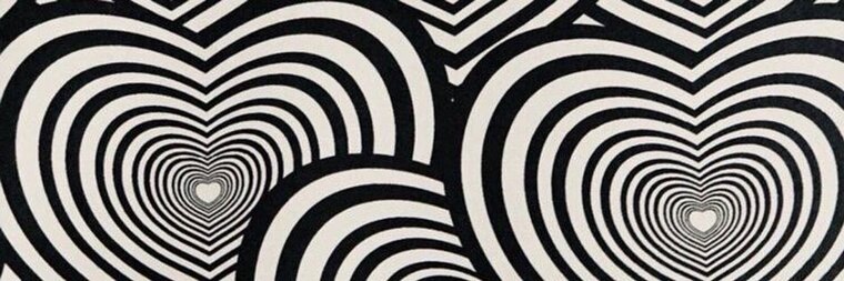 𝒗𝒆𝒏𝒖𝒔 cover image