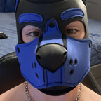 PupCosmo avatar