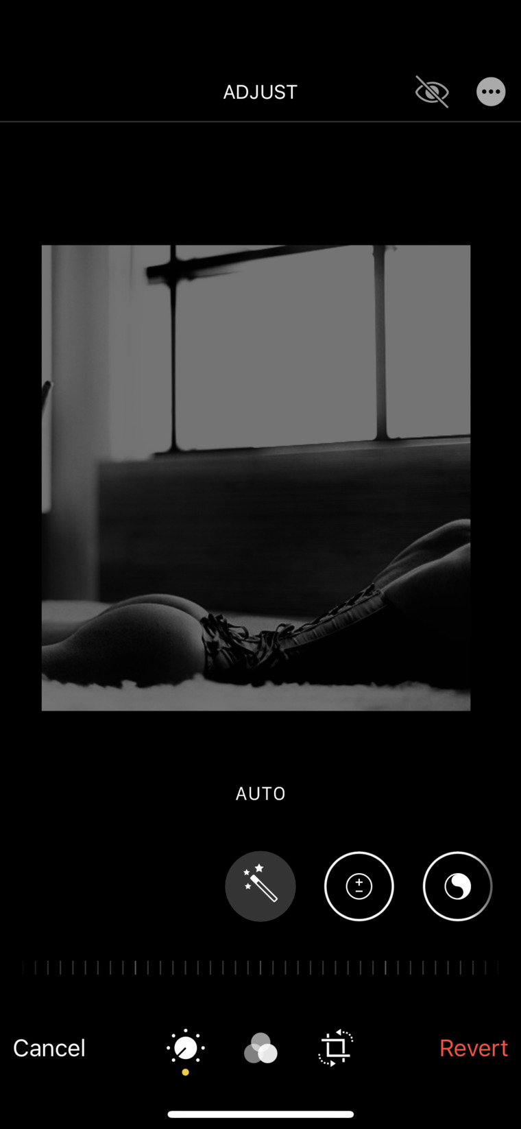🤪🤪🤪🤪 cover image
