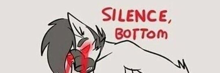 Canis infectum est in gloria banner image