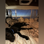 Owen the Adventure Dog 🐶 avatar