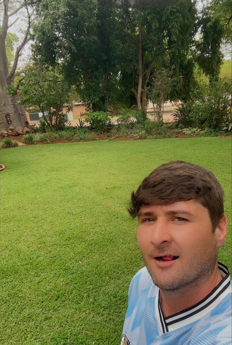 P.Bear amateur content cover image