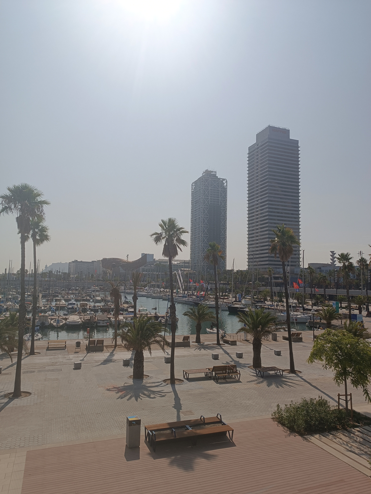 BCN23 banner image