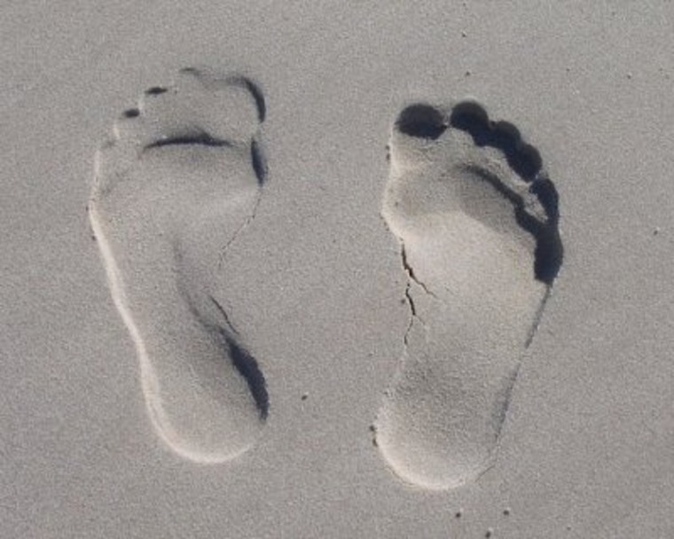 Pac79 cover image