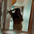 Pascal Antonia avatar