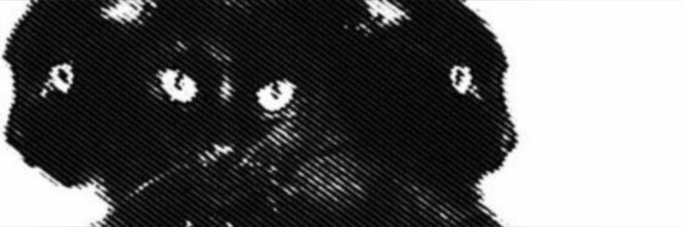 ࣪˖ ⟡˚⋆𝓴𝓲𝓽𝓽𝔂𝓰𝓲𝓻𝓵 ⋆˚⟡ ˖ ࣪ cover image