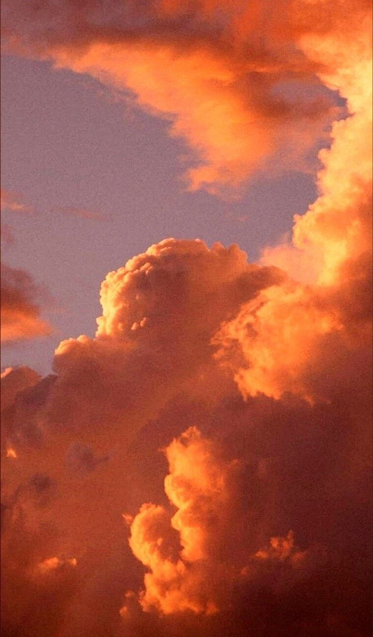 Nectarine ˖ ࣪⭑.࿐࿔ cover image