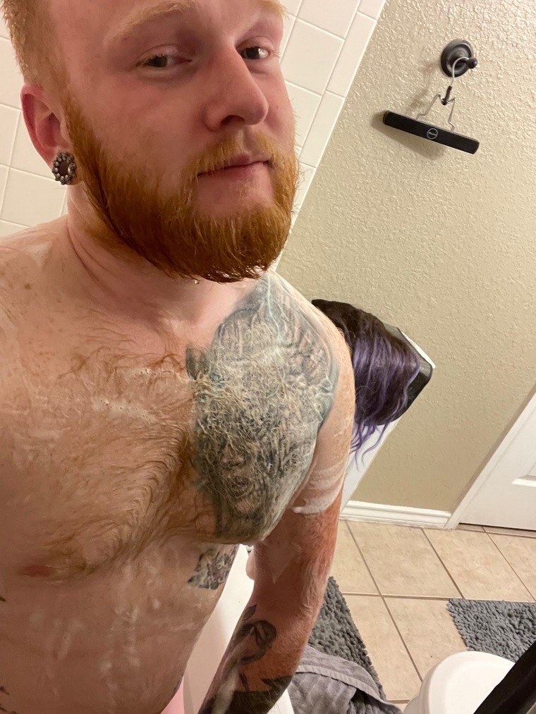 The Painted Ginger banner image