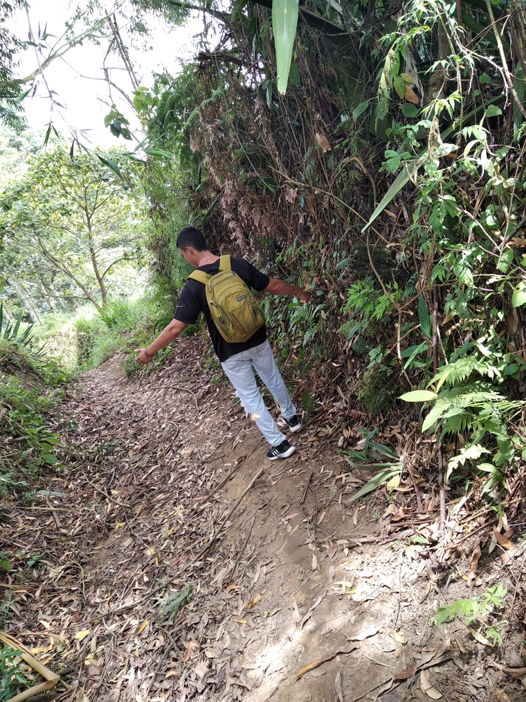 Juan cover image