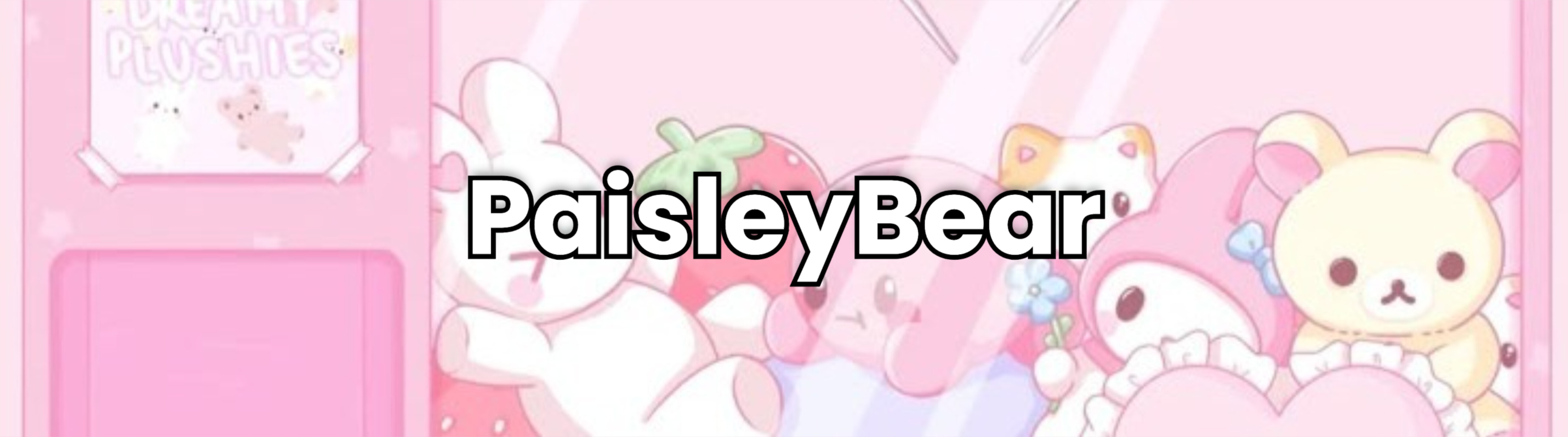 Paisley banner image