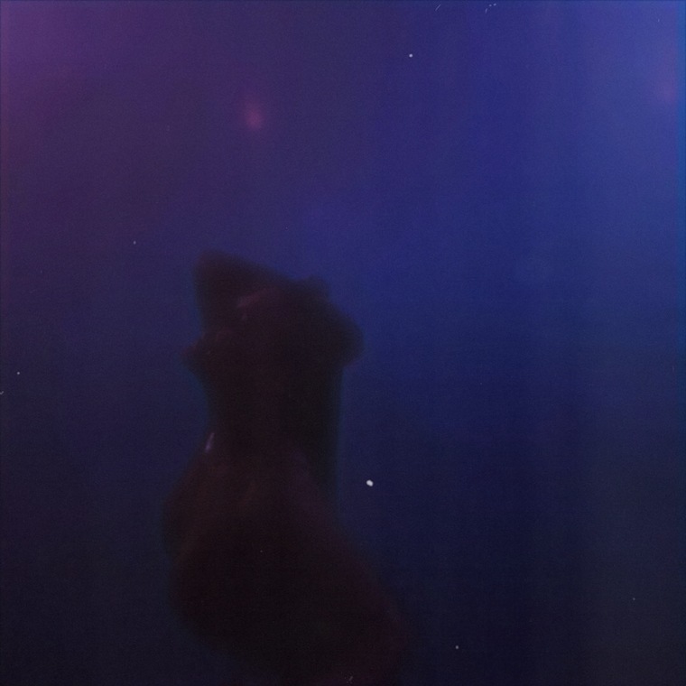 Paityn Jordan cover image