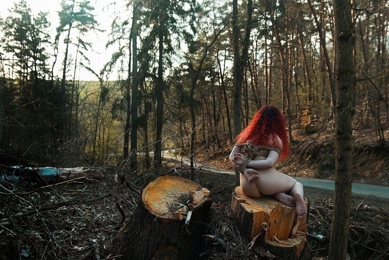 Zlounisko cover image