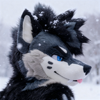 PalaceWolf portrait