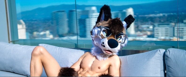 PalaceWolf banner image