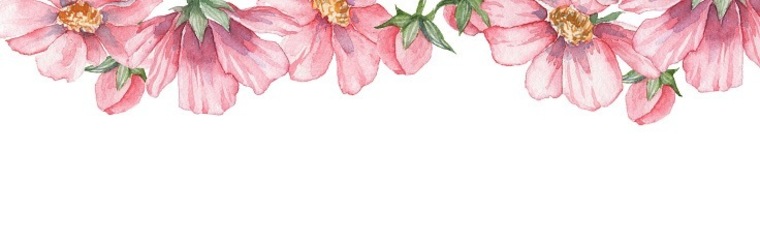 PalePrincess6978 cover image