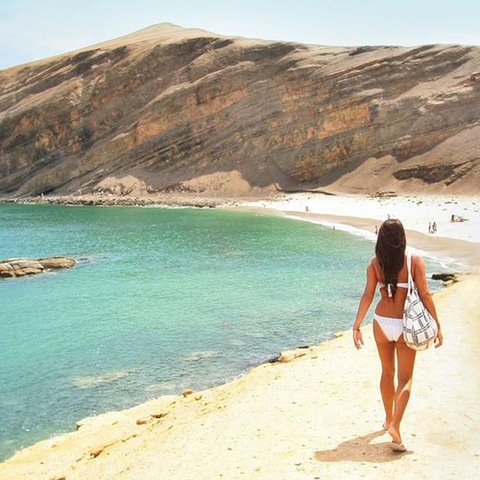 Pamela Berrios cover image