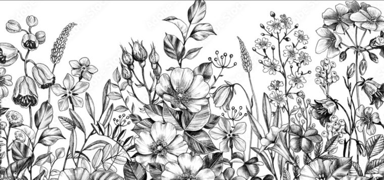 Lacy Marie banner image
