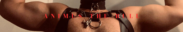 Pan Amour banner image