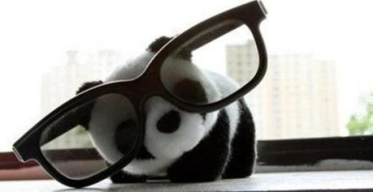 π PandaBear π banner image