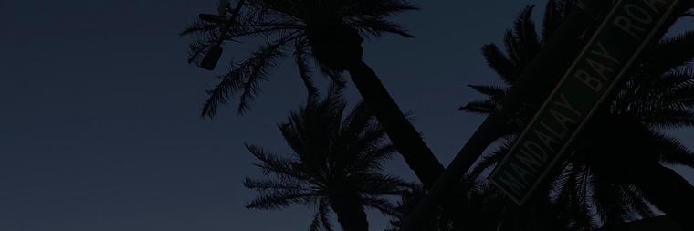 yungcoupleLV cover image