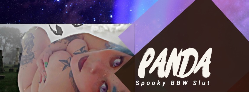 Shay Star the Panda banner image