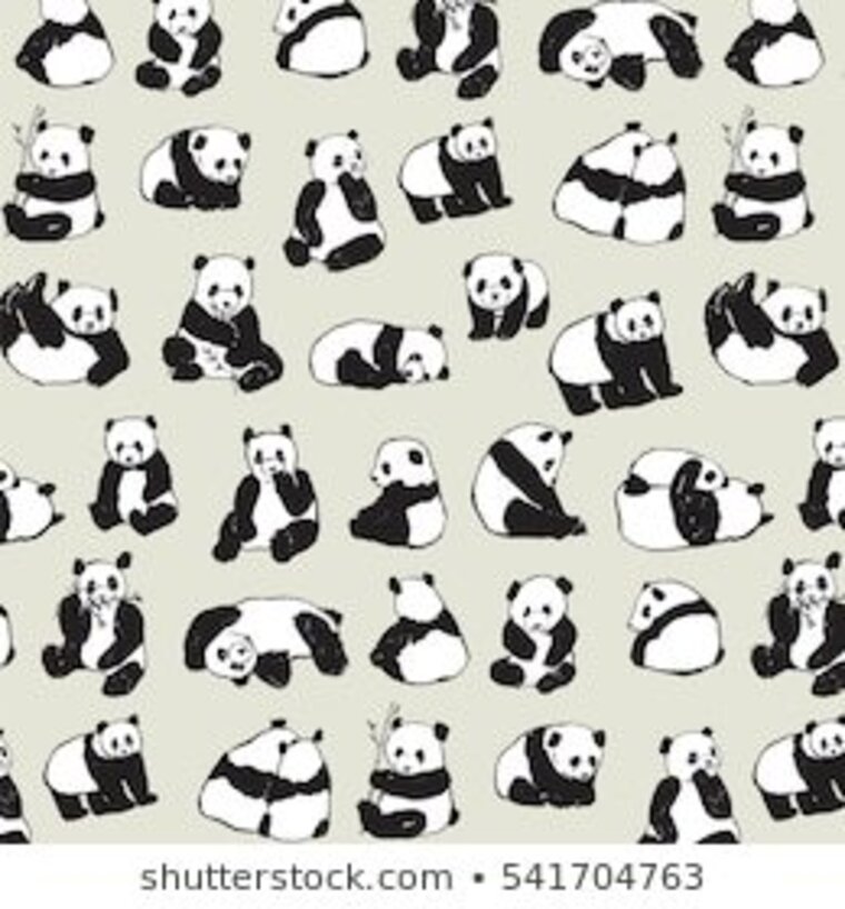 Jaidora panda banner image