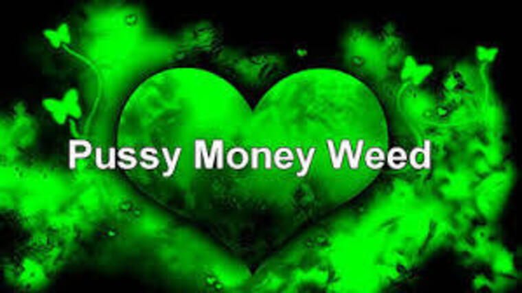 panda420 banner image