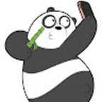 Papita Panda avatar