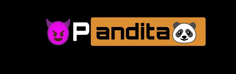 🐼Pandita 🤤 banner image