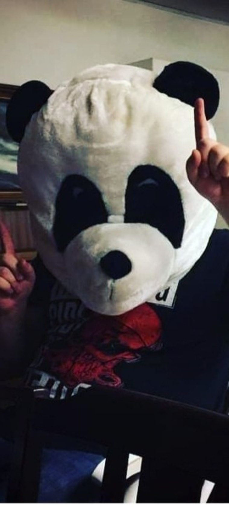 Panda banner image