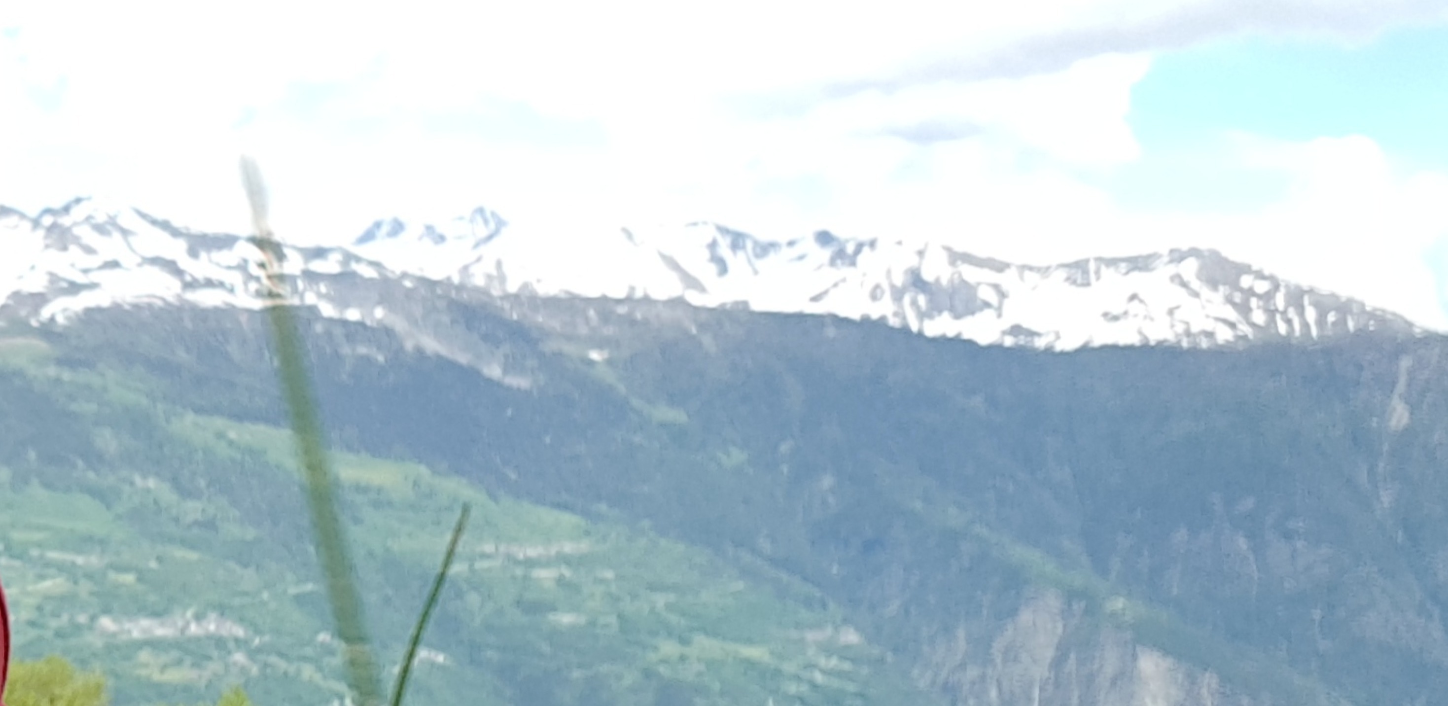 Panettoncino banner image