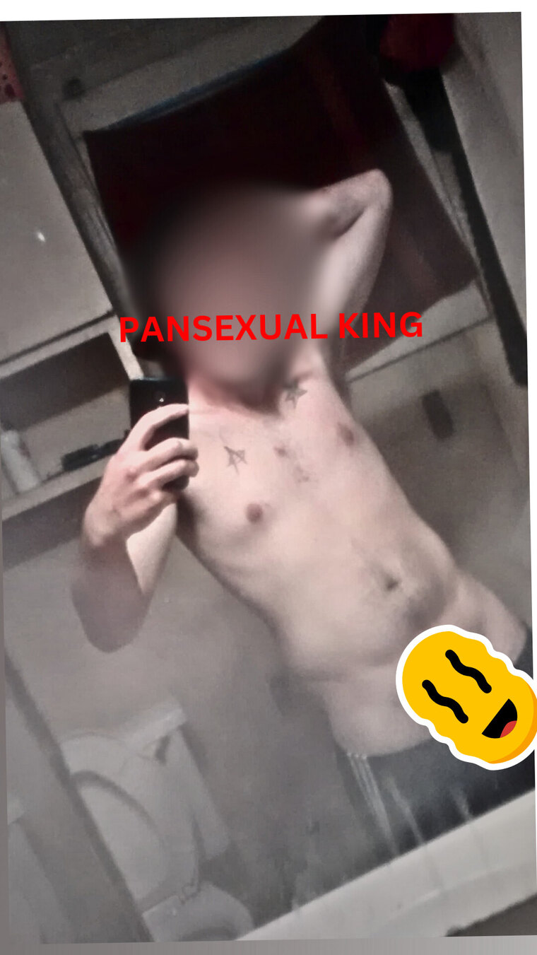 Pansexual King cover image