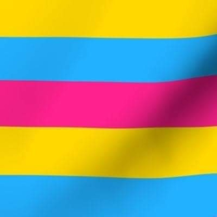 pansexualsluht cover image