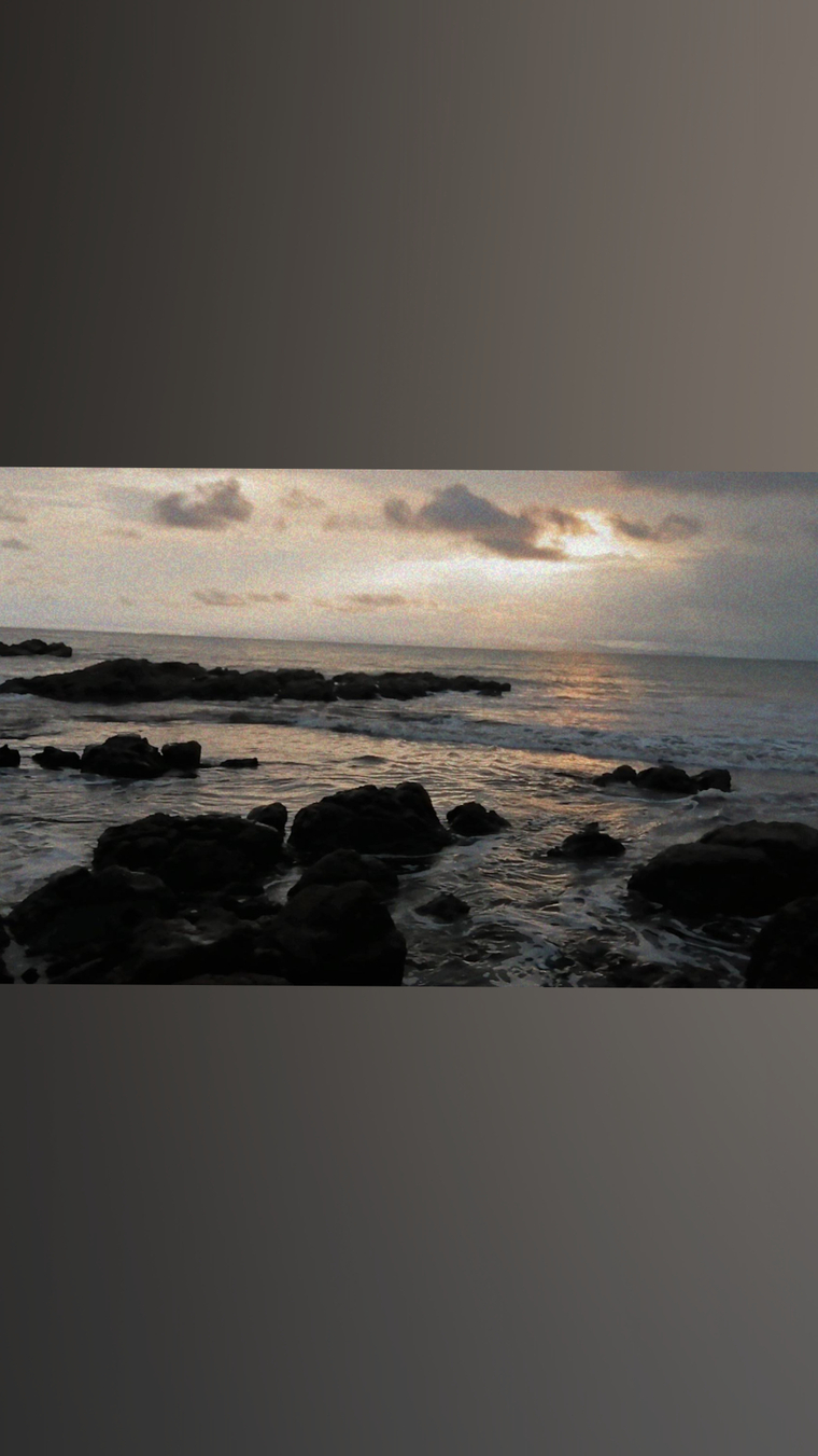 Paola A.O cover image