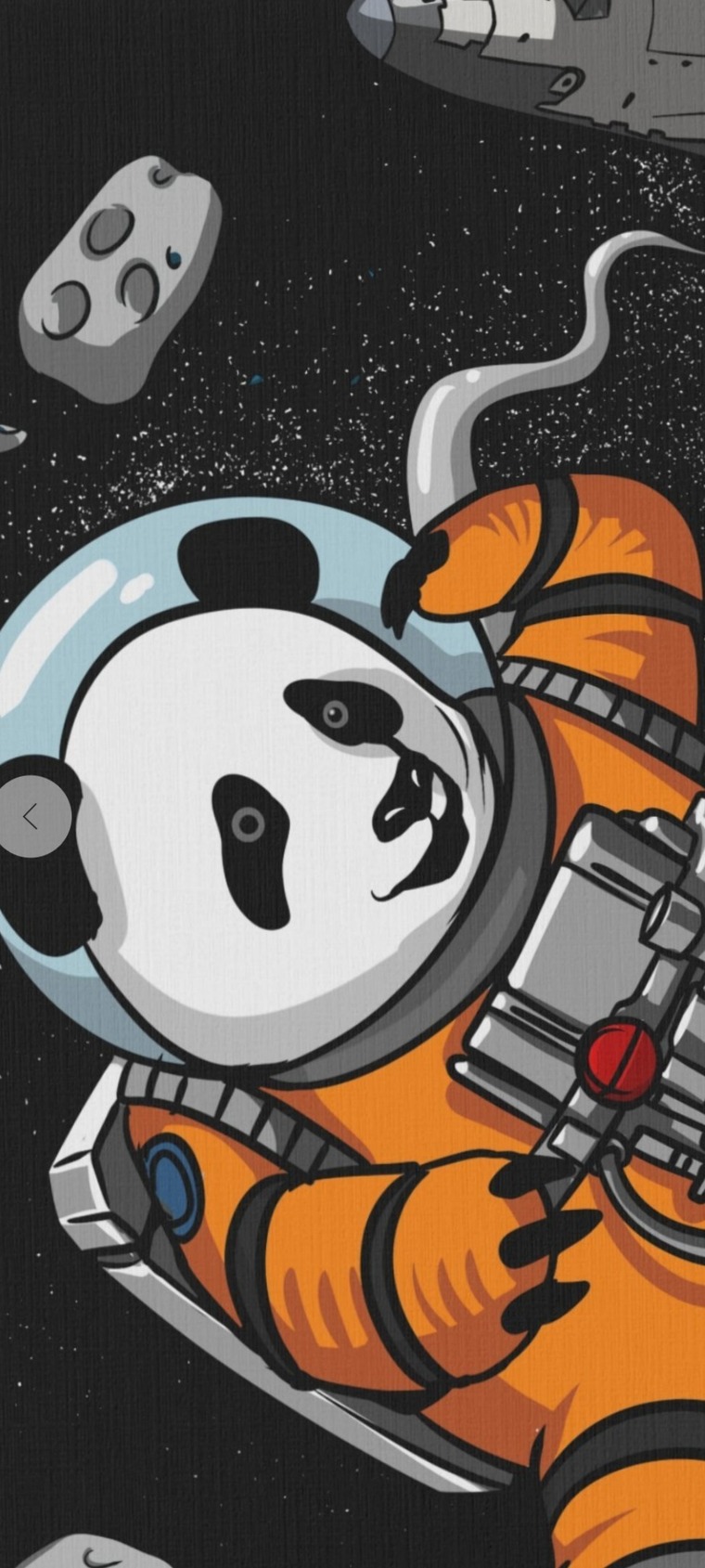 Papa Panda cover image