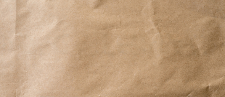 Paper Bag Woman banner image