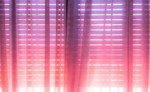 Paradise cover image
