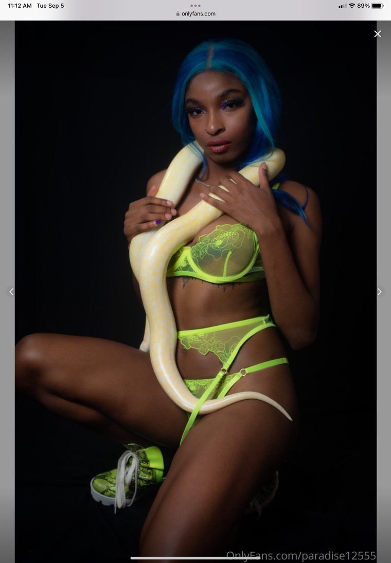 Paradise cover image