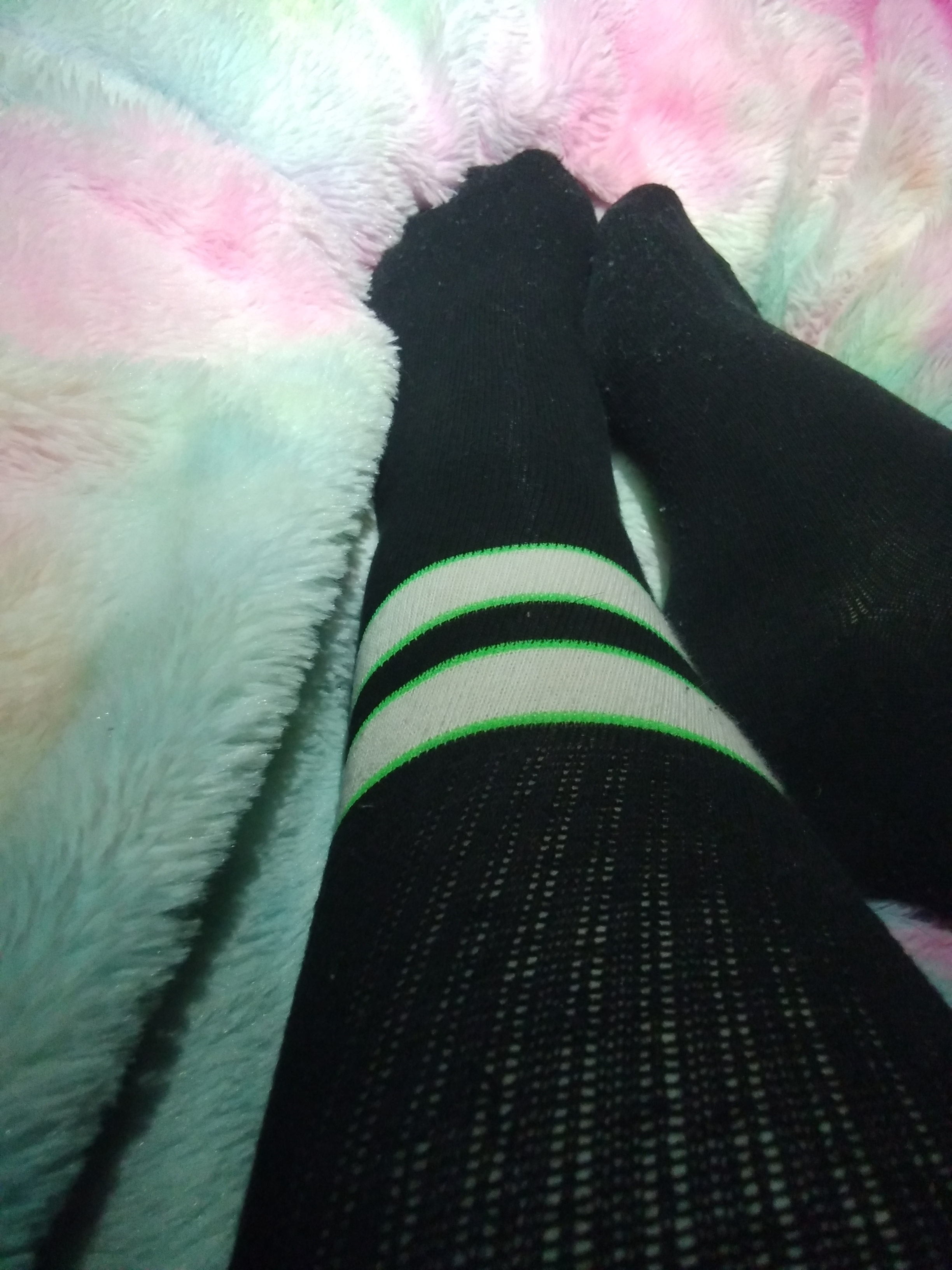 Paradise feet banner image