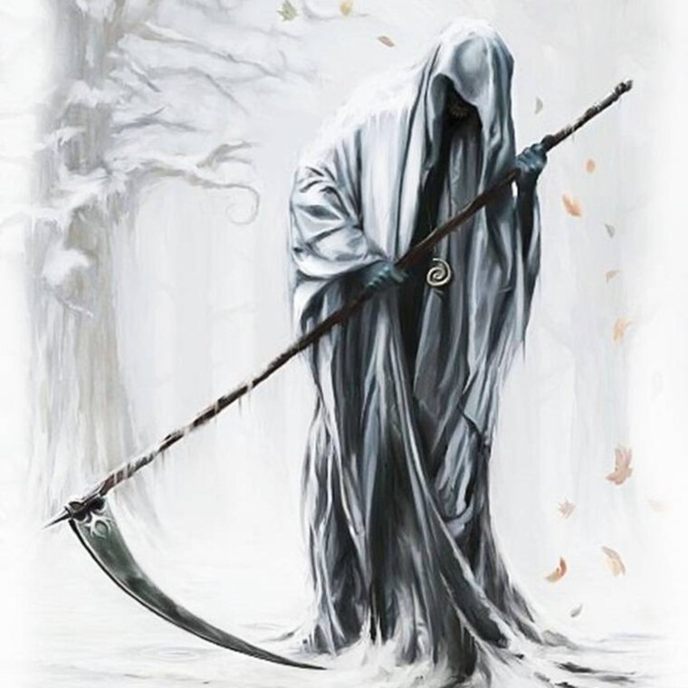 parca cover image