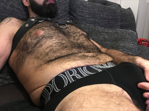 Oso Madrid cover image