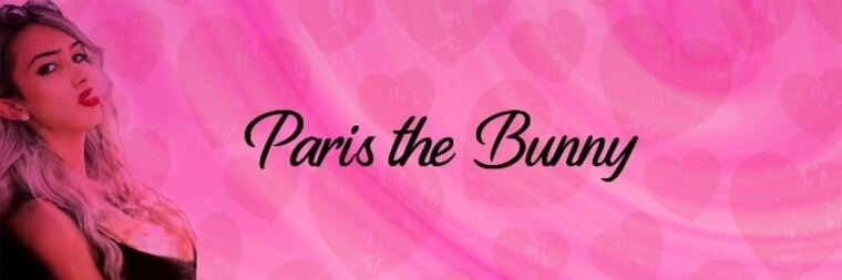 Paris the bunny banner image