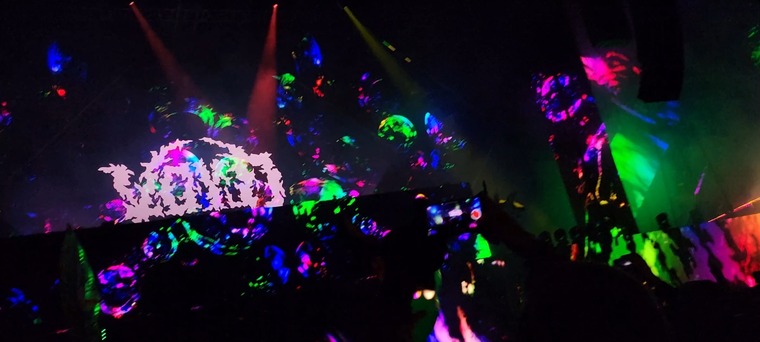 πΆπππ πΏπππππ banner image